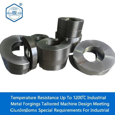 Odporność na temperaturę do 1200°C przemysłowe odkuwki metalowe Dostosowane do potrzeb klienta projekty maszyn Spełniające specjalne wymagania przemysłowe